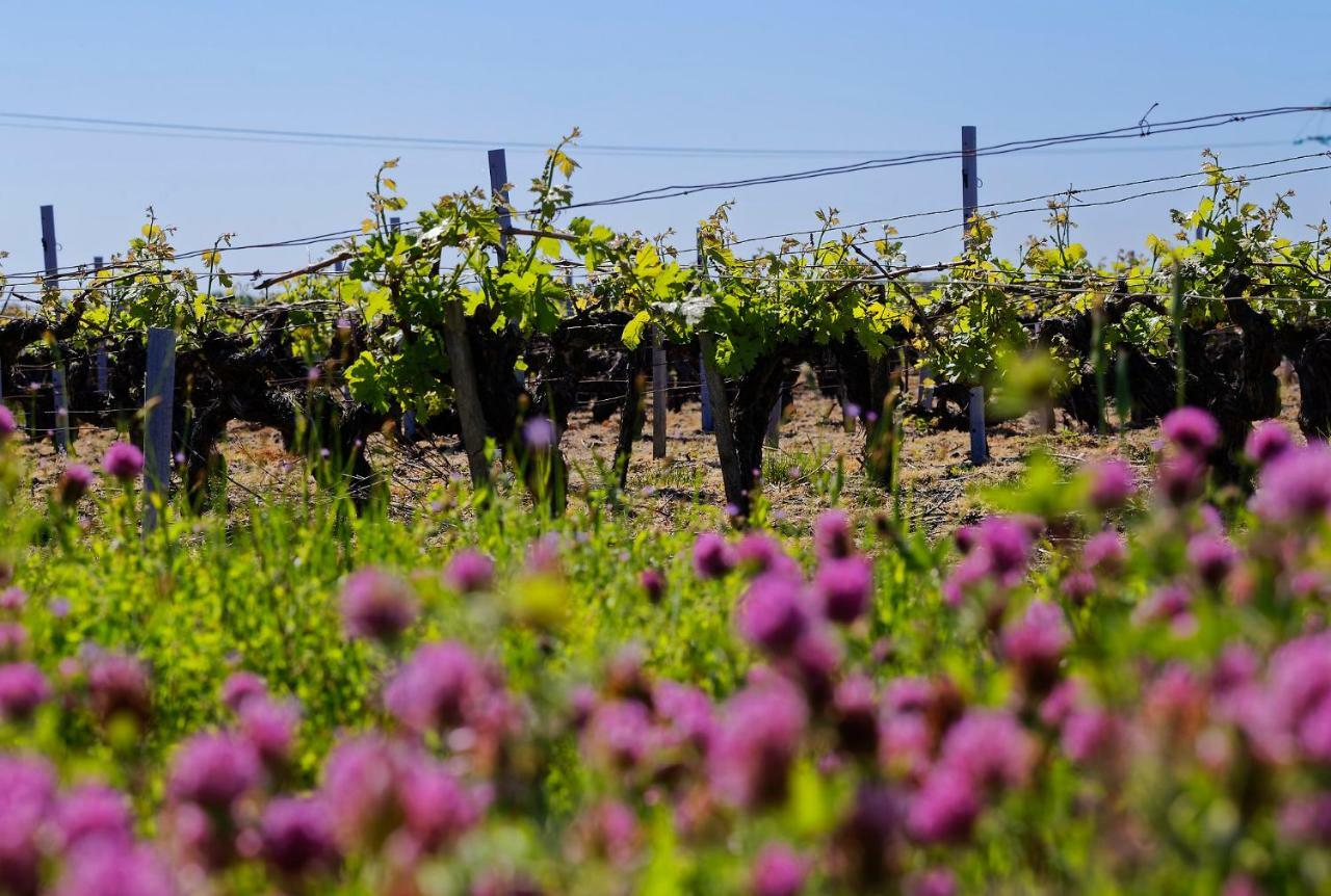 Готель Domaine De Ludeye Listrac-Medoc Екстер'єр фото